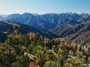 28 mughi, abeti, larici colorati d'autunno...